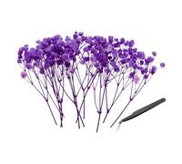 PATIKIL Mini Kit De Fleurs De Gypsophile Séchées, 30Pcs Bouquets Naturels Pressés Rose Violet 4 Pouces avec Pince À Épiler pour DIY Résine Artisanat Cadeau Mariage Noël Carte ornementation