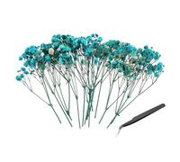 PATIKIL Mini Kit Fleurs Gypsophile Séchées, 30Pcs Bouquets Naturels Pressés Bleu Brume 4 Pouces avec Pince À Épiler DIY Résine Cadeaux Fleurs