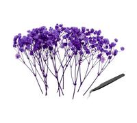 PATIKIL Mini Kit Fleurs Gypsophile Séchées, 30Pcs Bouquets Naturels Pressés Bleu Violet 4 Pouces avec Pince À Épiler DIY Résine Artisanat Fleurs