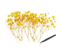 PATIKIL Mini Kit Fleurs Gypsophile Séchées, 30Pcs Bouquets Naturels Pressés Jaunes 4 Pouces avec Pince À Épiler DIY Résine Cartes Bouquets Fleurs