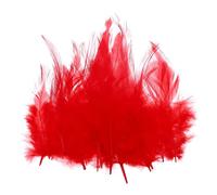 PATIKIL Plumes Colorées pour Loisirs Créatifs, 100PCS Plume de Coq en Vrac Décorative, Décorations Mariage Maison Jardin Fête Artisanat DIY Attrape-Rêves Boucles d'oreilles, Rouge