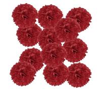 PATIKIL Pompons en Papier Soie 20cm x 20cm, Kit de 12 Boules Fleurs à Suspendre pour Décoration Fête Mariage Enterrement de Vie de Célibataire Anniversaire Baptême Baby Shower, Rouge