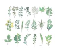 PATIKIL Transparent Fleur Vinyle Autocollants, 40 Feuille Imperméable PET Fleurs Autocollants Floral Autocollants pour Créacollage Journalisation Artisanat DIY Eau Bouteilles, Vert