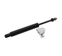 PATKAW Tige de Pompe Hydraulique Noire en Acier pour Fauteuil de Barbier Support de Dossier Réglable et Fonctionnement Hydraulique Fluide pour Usage en Salon