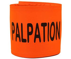 PATOUTATIS - Brassard agent sécurité orange PALPATION