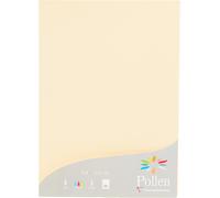 Patq-24204c - Étui De 25 Feuilles - Format A4 (21x29,7cm) - 210g/M² - Coloris Ivoire - Papier D'invitation Evènements Et Correspondance - Gamme Pollen - Papier Premium Lisse