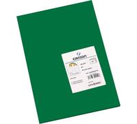 Patq-Canson Iris Vivaldi - Paquet 50 Feuilles De Papier Couleur A3 - 185g/M² - Vert Sapin