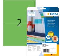 PATQ-Herma 4499 Étiquettes 199,6 x 143,5 A4 40 pièces Vert