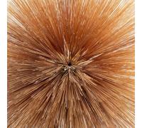 Patricia Brennan - Of the Near and Far