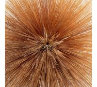 Patricia Brennan Of the Near and Far (CD)