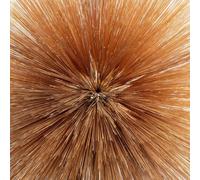 Patricia Brennan - Of The Near And Far [Compact Discs]