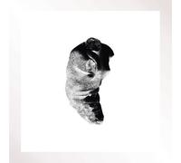 Patricia Several Shades of the Same Colour (Vinyl) 12" Album