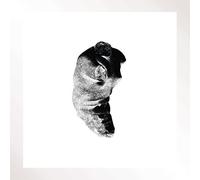 Patricia Several Shades of the Same Colour (Vinyl) 12" Album