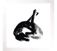 Patricia - Several Shades of The Same LP 3 [Import]