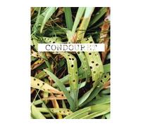 Patrick Condouret - F. Faure - Ceysson-Iac - broché - Beau livre