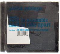Patrick Pulsinger - The Album [Import]