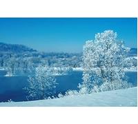 Patrick Short - Midwinter Jicker