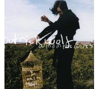 Patrick Wolf - Wind In The Wires