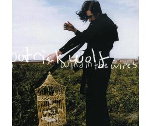 Patrick Wolf - Wind In The Wires