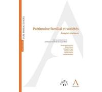 Patrimoine Familial Et Sociétés - Analyses Pratiques