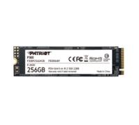 SSD Interne P300 P300P256GM28 256Go SSD M.2 NVMe 1700Mo/s Noir