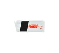 Patriot – Clé USB PEF1TBRPMW32U 1 To USB Type-A 3.2 Gen 2 (3.1 Gen 2) Blanche