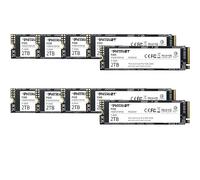 Patriot P300 SSD Interne de 2 to - NVMe PCIe Gen 3x4 - M.2 2280 - Disque SSD - Lot de 10