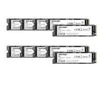Patriot P300 SSD Interne de 256 Go - NVMe PCIe Gen 3x4 - M.2 2280 - Disque SSD - Lot de 10