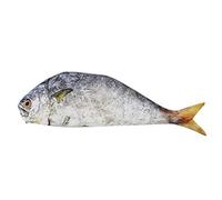 Patron de couture Sacs Stylo Unisexe Sacs Casperle Poisson Étudiant Pochette Mode Crayon Maquillage Fermeture éclair Sacs Femmes Original, jaune, 28cmx10cmx1cm