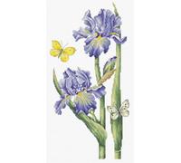 Patron de point de croix Luca-S Gold - May Iris BP7001