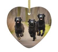 Patte De Flat Coated Retrievers Au Trot Artisanat Noël Décoration avec Ruban Doré Ornement pour Intérieur Bureau Vacances