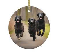 Patte De Flat Coated Retrievers Au Trot Ornement Noël Décorations avec Ruban Doré Souvenirs pour Famille Maison Intérieur