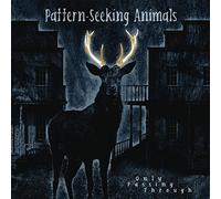 Pattern-Seeking Animals - Only Passing Through