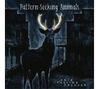 Pattern-Seeking Animals – Only Passing Through – Vinyle 33 tours + CD