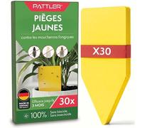 Pattler Piège à Moucherons Plantes Intérieur - 30 Unités. Anti Moucherons Plantes Intérieur Jaune Collant, Attrape Moucheron Efficace pour Terreau et Pots, Piège Jaune Double Face