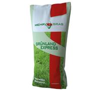Pâturage permanent Standard G IV RHT 20 kg de graines de pâturage pour terrains secs Semences d'herbe