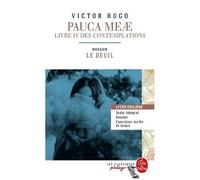 Pauca Meae - Livre 4 Des Contemplations - Dossier Thématique : Le Deuil