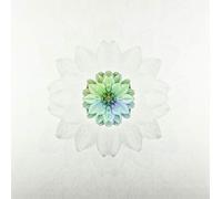 Paukku, Tuomas - Description [Import]