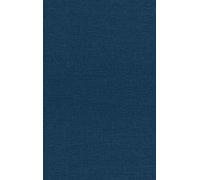 Paul A M Dirac The Principles of Quantum Mechanics (Relié)