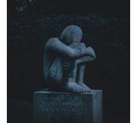 Paul Cardall - Grace in Grief