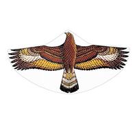GÜNTHER FLUGSPIELE Paul Günther 1146 - Cerf-volant pour enfants avec motif d'aigle royal, cerf-volant à une corde en film PE robuste, pour enfants à partir de 4 ans, taille env. 122 x 68 cm
