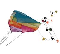 Paul Günther 1172 - Mini Parafoil Rose, cerf-Volant coloré à Mettre dans la Poche, avec Voile résistante à la lumière, Peut être Facilement rangé dans la Poche, env. 60 x 51 cm