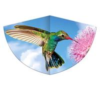 Paul Günther 1178 - Cerf-Volant pour Enfants avec Motif Colibri, cerf-Volant à Une Corde en Film PE Robuste avec Balance de cerf-Volant réglable, Dimensions env. 75 x 48 cm