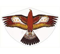 Paul Günther 1180 - Cerf-Volant pour Enfants avec Motif Aigle doré, cerf-Volant à Une Corde en Film PE Robuste avec Balance de cerf-Volant réglable