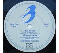 Paul Hardcastle - PAUL HARDCASTLE / RAIN FOREST / FOREST FIRE