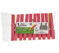 Paul Masquin Lot de 10 Pinces à Linge en Plastique Robuste et Ferme avec Ressort pour travaux manuels et séchage à l'air Libre à Suspendre sur Une Corde à Linge