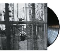 Paul McCartney – Chaos and Creation in the Backyard – Vinyle