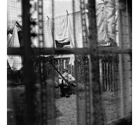 Paul McCartney - Chaos & Creation in the Backyard by Paul McCartney (2011) Audio CD