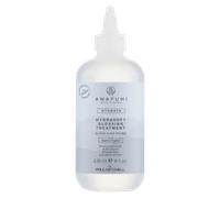 Paul Mitchell Lotion Paul Mitchell HydraSoft Glossing Treatment 236ml 236 ml
