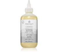 Paul Mitchell Awapuhi Wild Ginger HydraSoft Glossing Treatment cure capillaire intense pour une brillance saine 236 ml